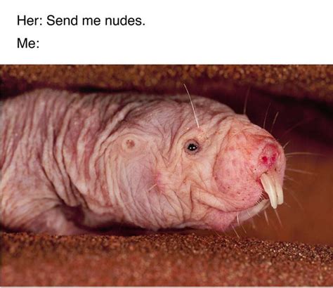 To Save Yourself from Sextortion, Send Naked Mole。